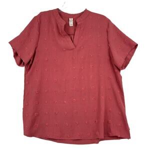 B Textured Dot Blouse Top Short Sleeve V Neck Bohemian Dusty Rose Size XL